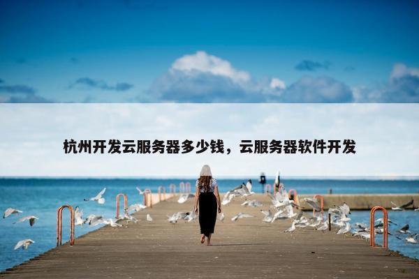杭州开发云服务器多少钱，云服务器软件开发