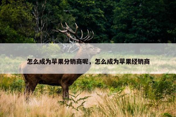 怎么成为苹果分销商呢，怎么成为苹果经销商