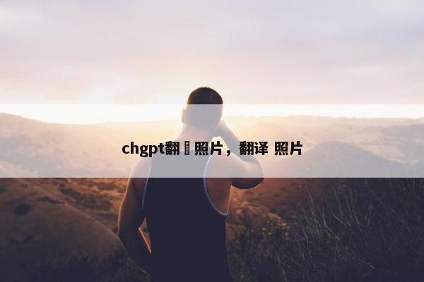 chgpt翻譯照片，翻译 照片