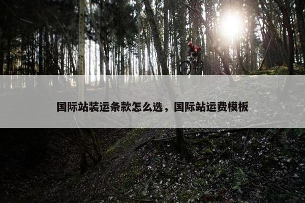 国际站装运条款怎么选，国际站运费模板