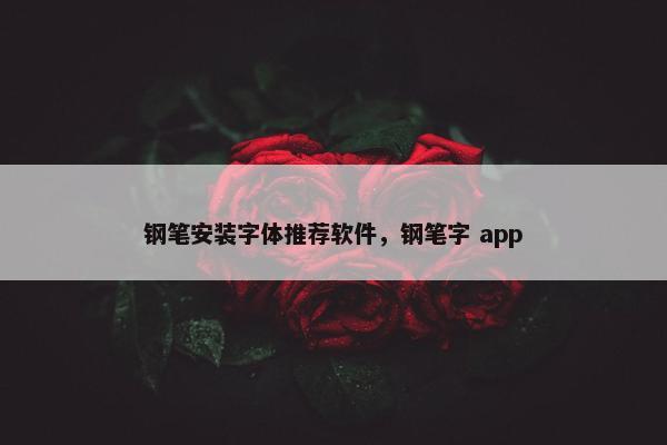 钢笔安装字体推荐软件，钢笔字 app