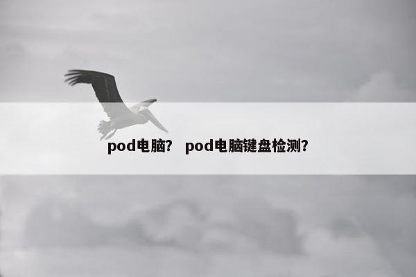 pod电脑？ pod电脑键盘检测？