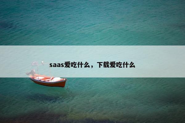 saas爱吃什么，下载爱吃什么
