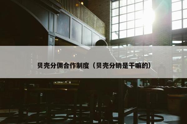 贝壳分佣合作制度（贝壳分销是干嘛的）