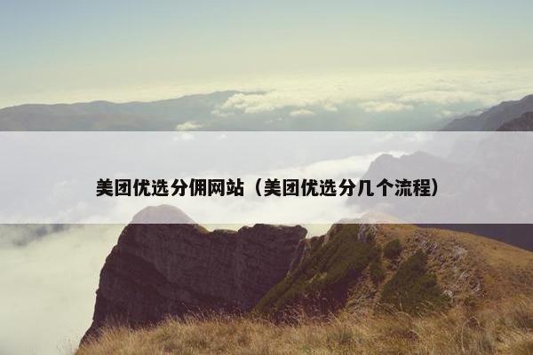 美团优选分佣网站（美团优选分几个流程）
