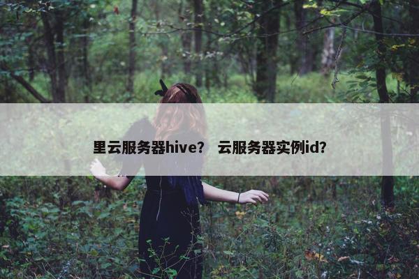里云服务器hive？ 云服务器实例id？