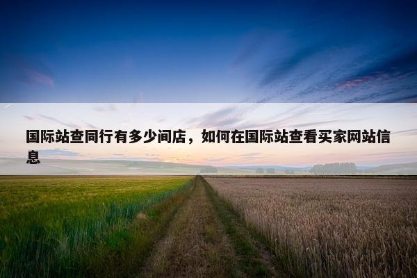 国际站查同行有多少间店，如何在国际站查看买家网站信息