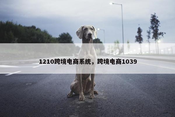 1210跨境电商系统，跨境电商1039