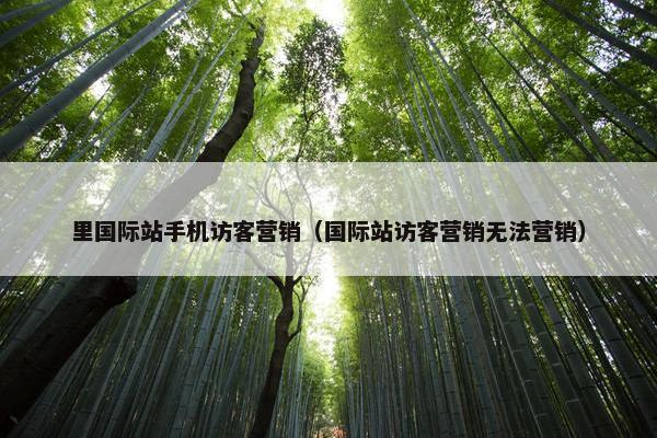 里国际站手机访客营销（国际站访客营销无法营销）
