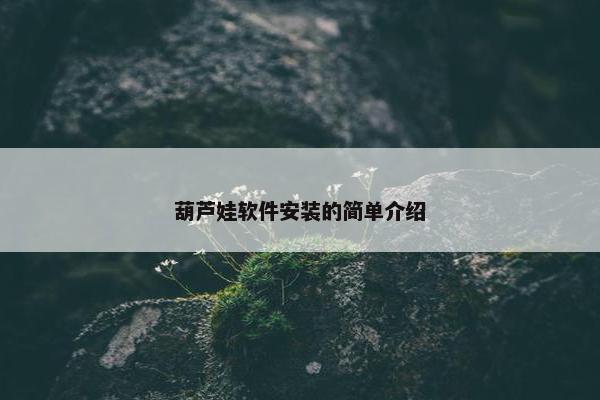 葫芦娃软件安装的简单介绍