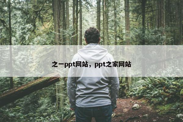 之一ppt网站，ppt之家网站