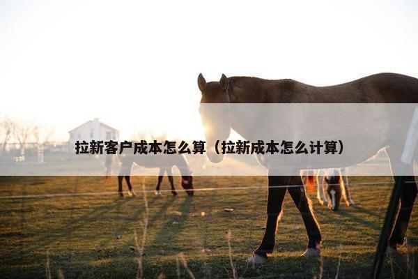 拉新客户成本怎么算（拉新成本怎么计算）