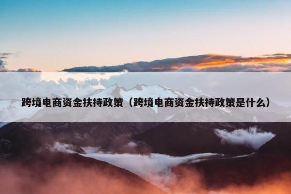 跨境电商资金扶持政策（跨境电商资金扶持政策是什么）
