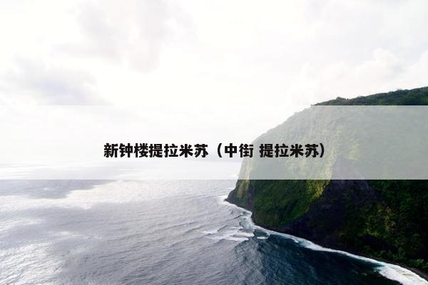 新钟楼提拉米苏（中街 提拉米苏）