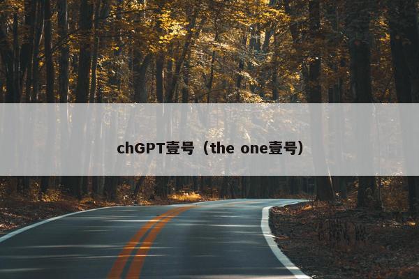 chGPT壹号（the one壹号）