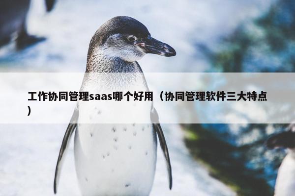 工作协同管理saas哪个好用（协同管理软件三大特点）