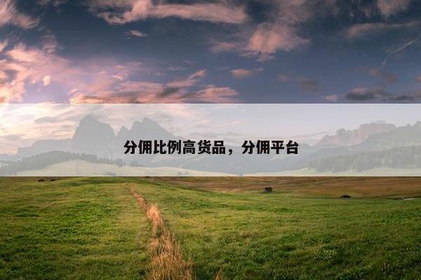 分佣比例高货品，分佣平台