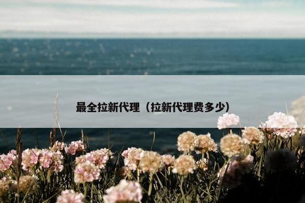 最全拉新代理（拉新代理费多少）
