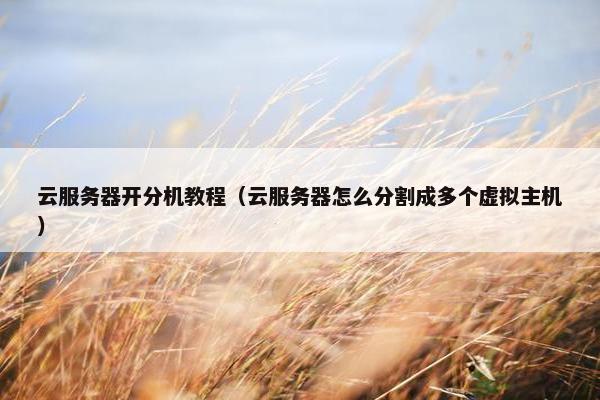 云服务器开分机教程（云服务器怎么分割成多个虚拟主机）