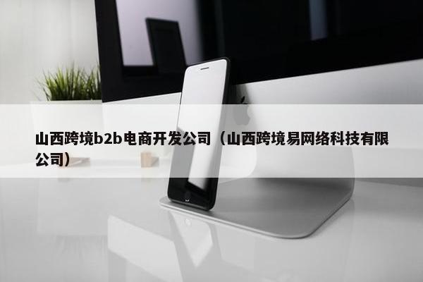 山西跨境b2b电商开发公司（山西跨境易网络科技有限公司）