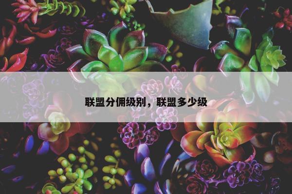 联盟分佣级别，联盟多少级