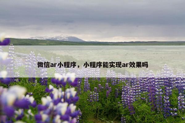 微信ar小程序，小程序能实现ar效果吗