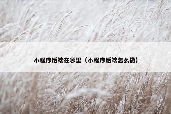 小程序后端在哪里（小程序后端怎么做）