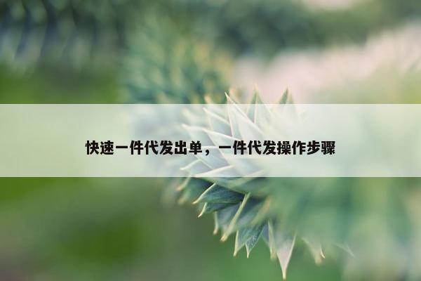快速一件代发出单，一件代发操作步骤