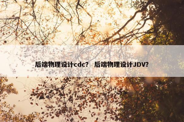 后端物理设计cdc？ 后端物理设计JDV？
