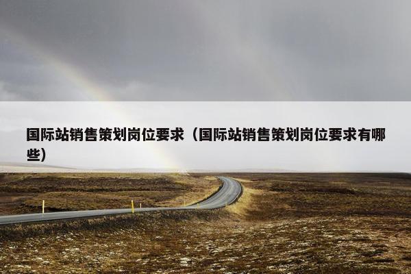 国际站销售策划岗位要求（国际站销售策划岗位要求有哪些）