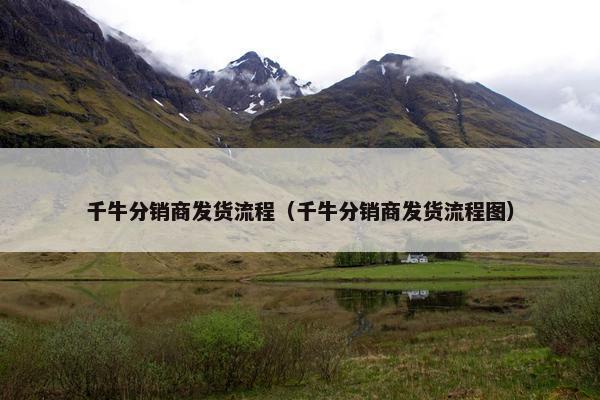 千牛分销商发货流程（千牛分销商发货流程图）