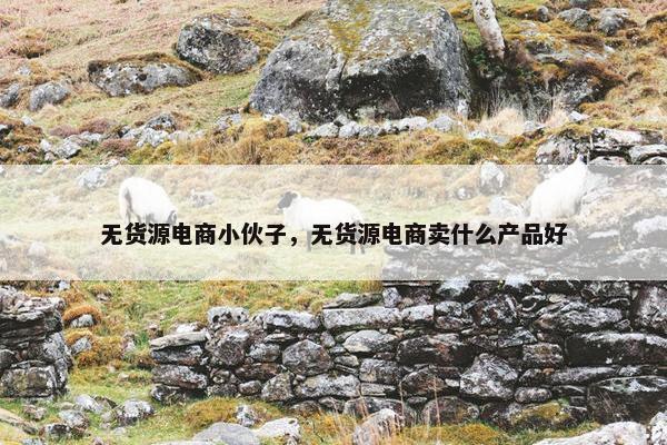 无货源电商小伙子，无货源电商卖什么产品好