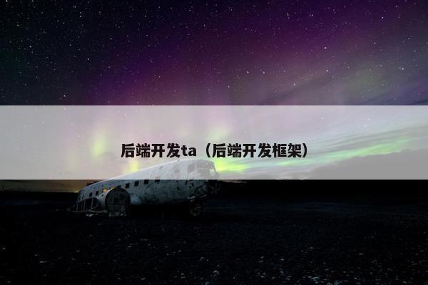 后端开发ta（后端开发框架）