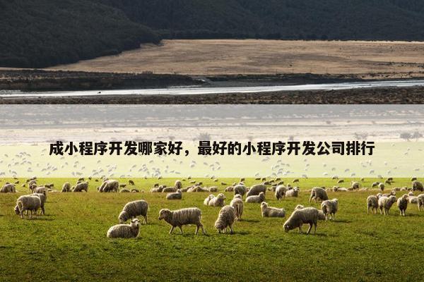 成小程序开发哪家好，最好的小程序开发公司排行