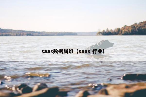 saas数据属谁（saas 行业）