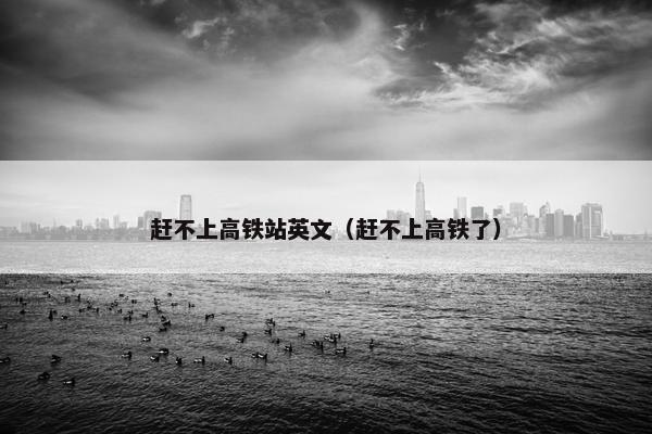 赶不上高铁站英文（赶不上高铁了）