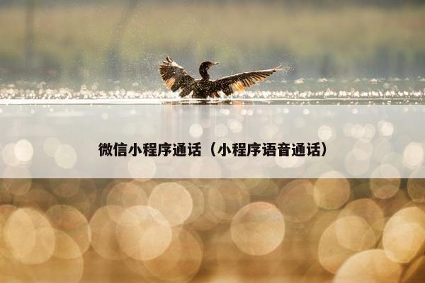 微信小程序通话（小程序语音通话）