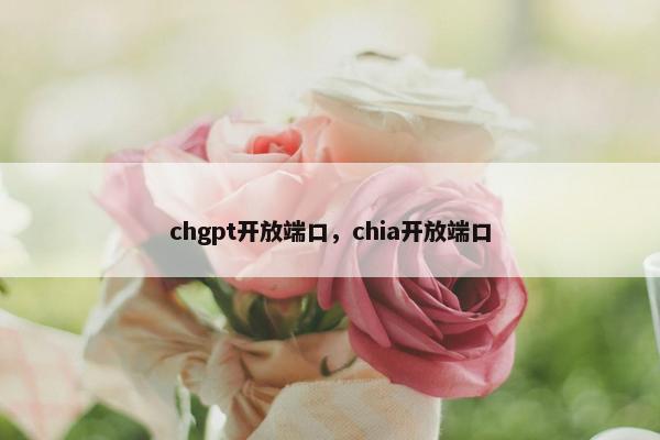 chgpt开放端口，chia开放端口