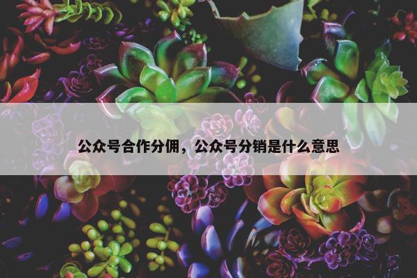 公众号合作分佣，公众号分销是什么意思