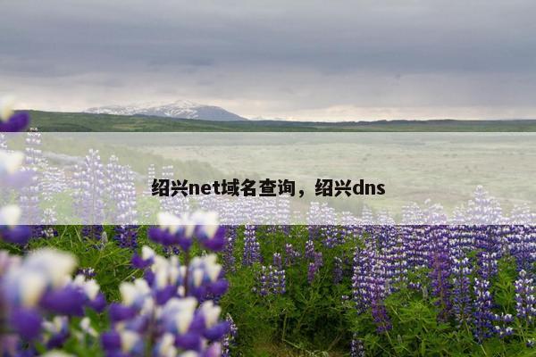 绍兴net域名查询，绍兴dns