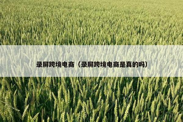录屏跨境电商（录屏跨境电商是真的吗）