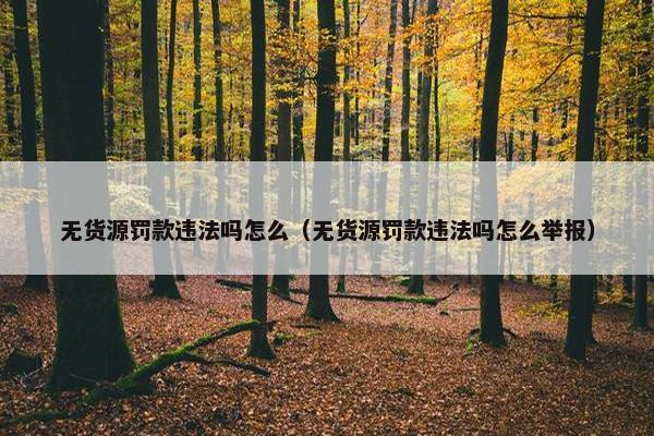 无货源罚款违法吗怎么（无货源罚款违法吗怎么举报）