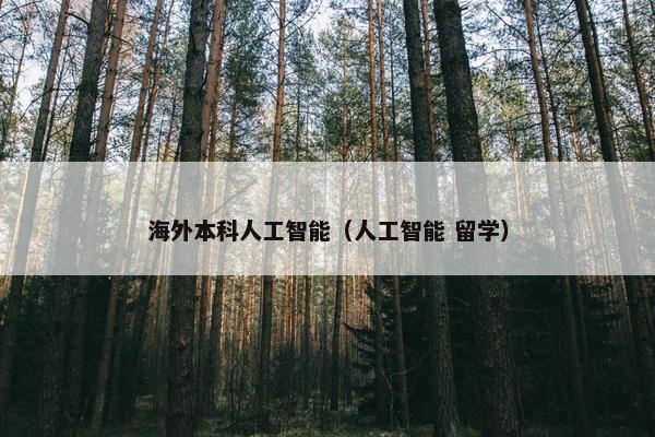 海外本科人工智能（人工智能 留学）