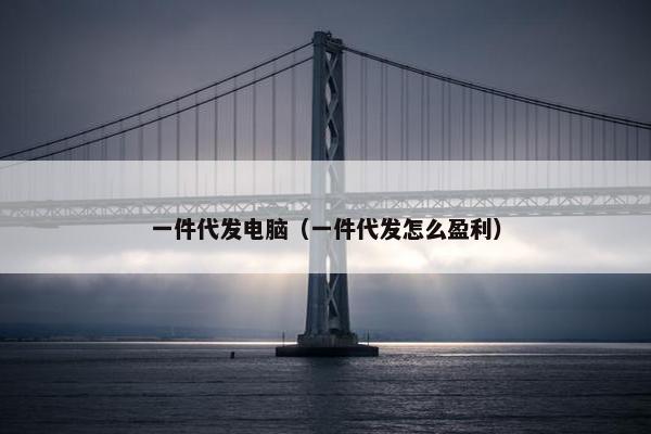 一件代发电脑（一件代发怎么盈利）