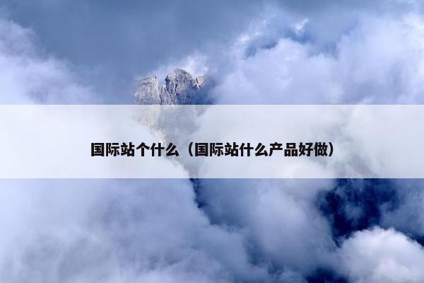 国际站个什么（国际站什么产品好做）