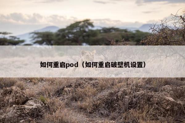 如何重启pod（如何重启破壁机设置）