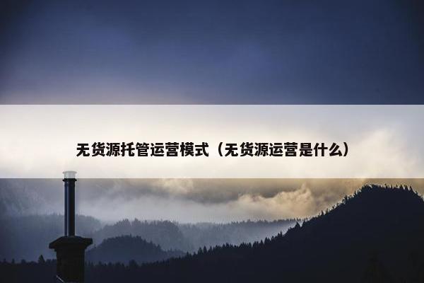 无货源托管运营模式（无货源运营是什么）