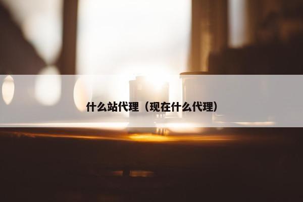 什么站代理（现在什么代理）