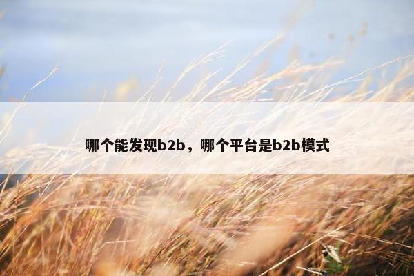 哪个能发现b2b，哪个平台是b2b模式
