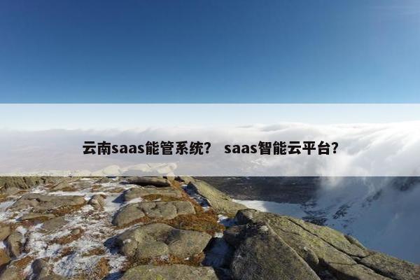 云南saas能管系统？ saas智能云平台？